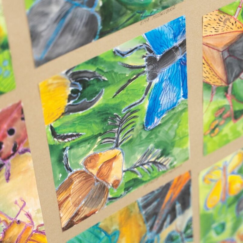 Výstava Svět hmyzu ve Slováckém muzeu