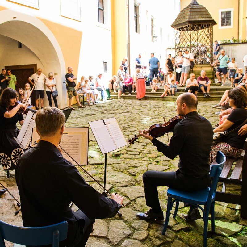 V sobotu 17. června se na hradě Malenovice uskuteční akce NA HRAD ZA KORUNK(o)U