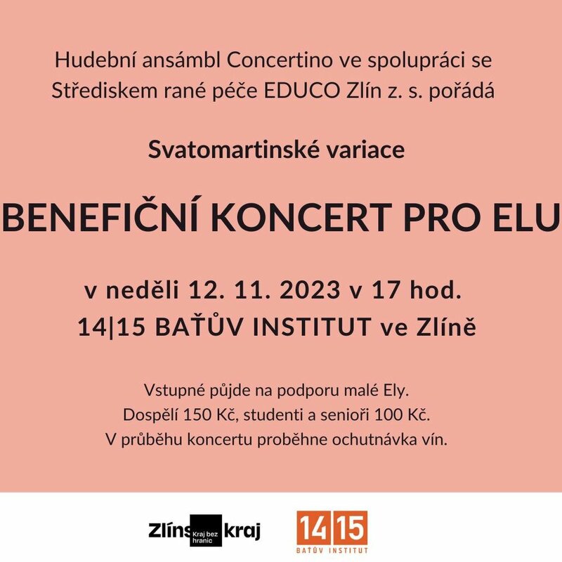 Benefiční koncert pro Elu 12. 11.