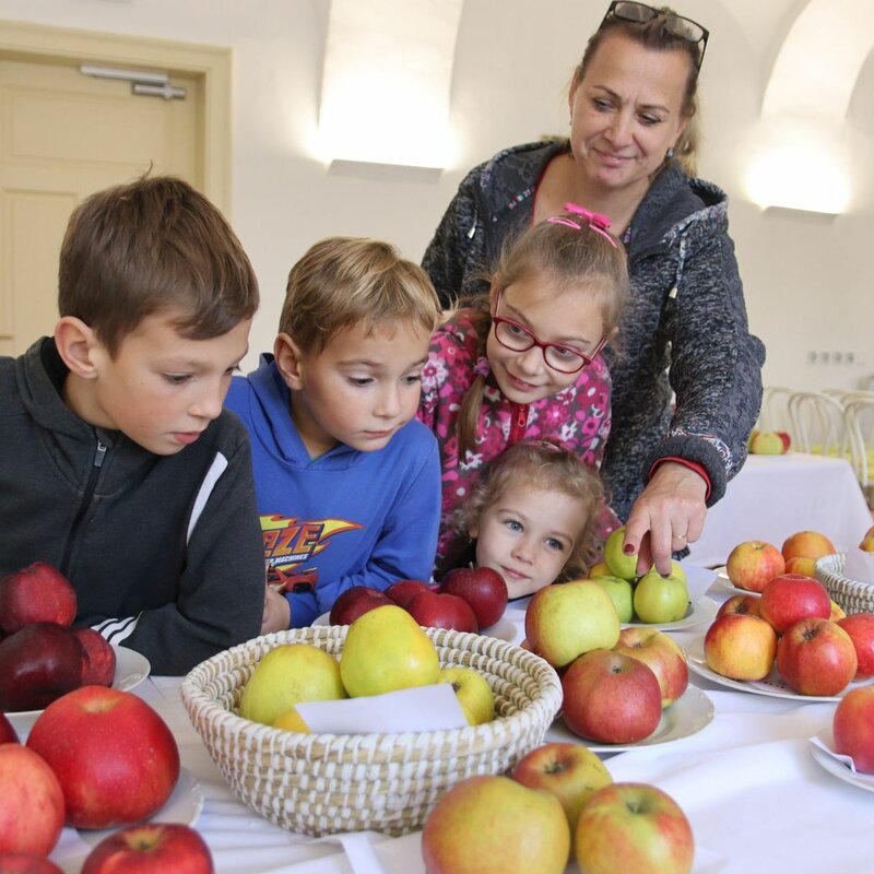 Lešnou u Meziříčí ovládne 29. října Zámecké moštování