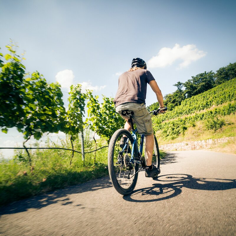 Mikroregion Žídelná zve všechny příznivce cyklistiky na TOUR DE ŽÍDELNÁ 24. 8. 2024