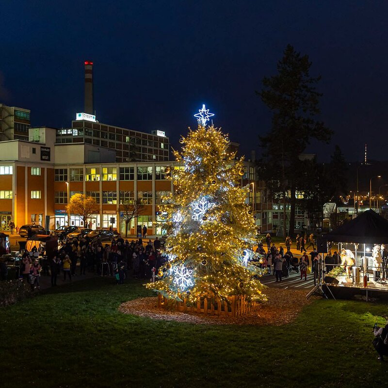 Před Baťovým mrakodrapem už svítí vánoční strom. Program doplnil i dobročinný jarmark.