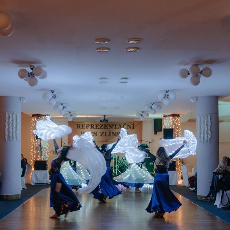 Reprezentační ples Zlínska slibuje skvělou zábavu pro všechny.