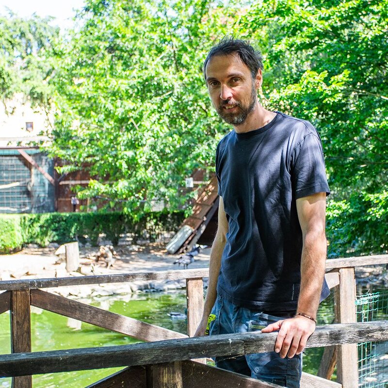 Martin Tomešek vede záchrannou stanici pro volně žijící živočichy v Buchlovicích.