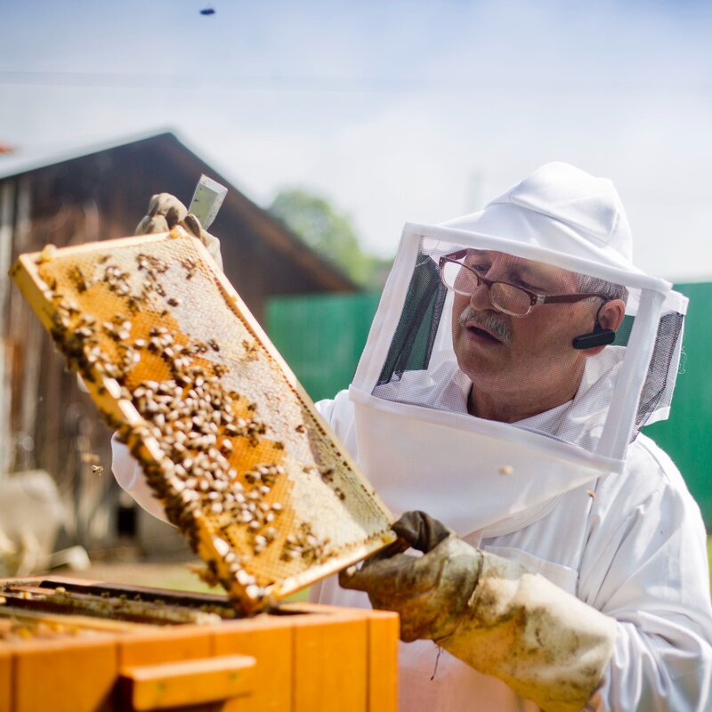 Další podpora pro včelaře. Letos mezi ně kraj rozdělí takřka 1,2 milionu.