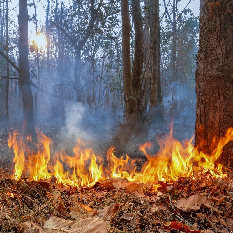 Hejtman Radim Holiš odvolal období nepříznivých klimatických podmínek vyhlášené kvůli suchu a riziku požárů