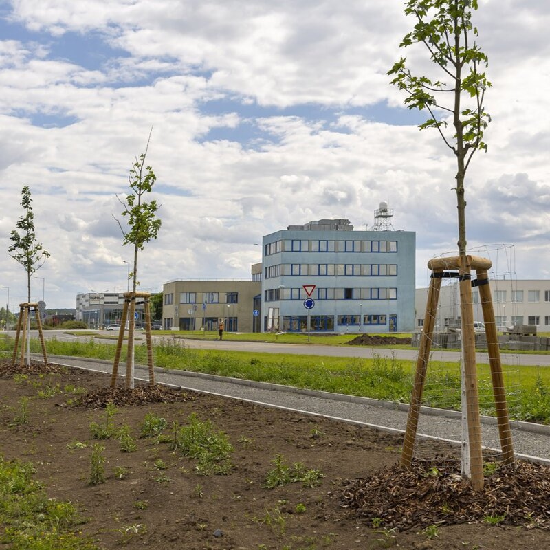 V holešovské průmyslové zóně přibývá zeleně, kraj do ní investuje přes 14 milionů