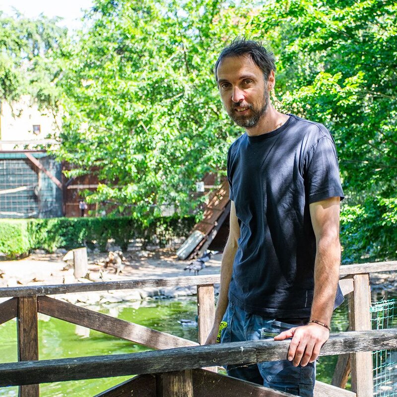 Martin Tomešek vede záchrannou stanici pro volně žijící živočichy v Buchlovicích.