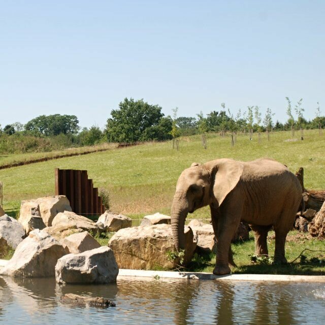 foto: Zoo Zlín