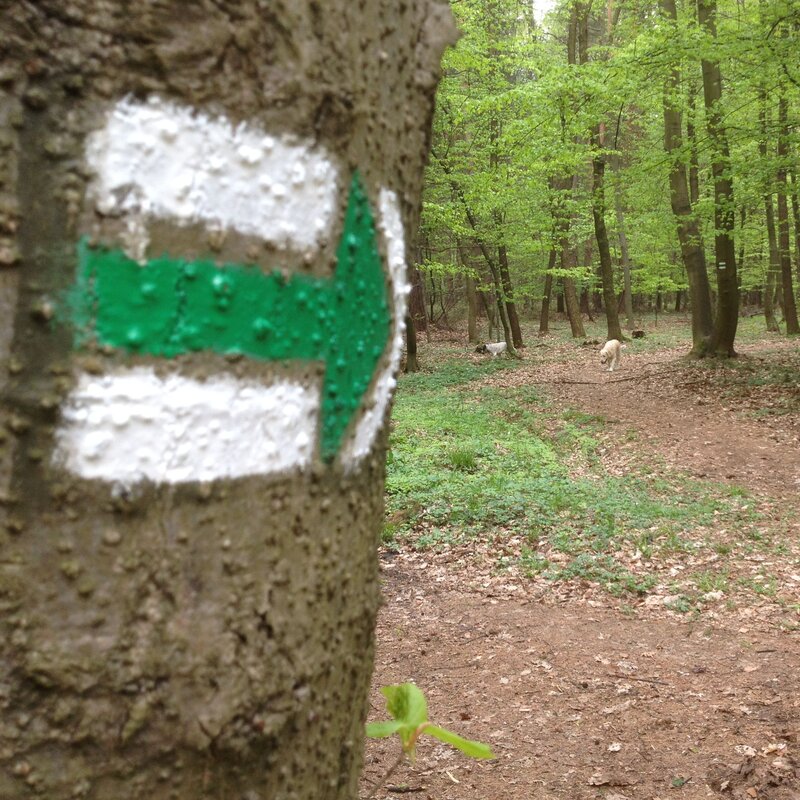 Na obnovu a údržbu značených turistických tras poskytne kraj 600 tisíc korun.