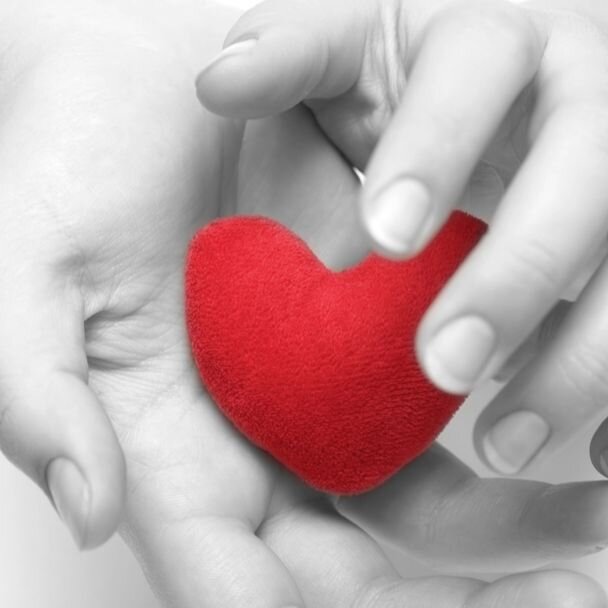 Hejtmanství přispěje na vznik pietního místa pro rodiče po ztrátě miminka.