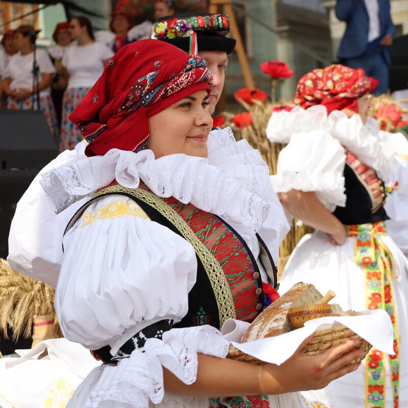Zlínský kraj přispěl na kulturní akce, mezi organizátory rozdělil přes 10 milionů.