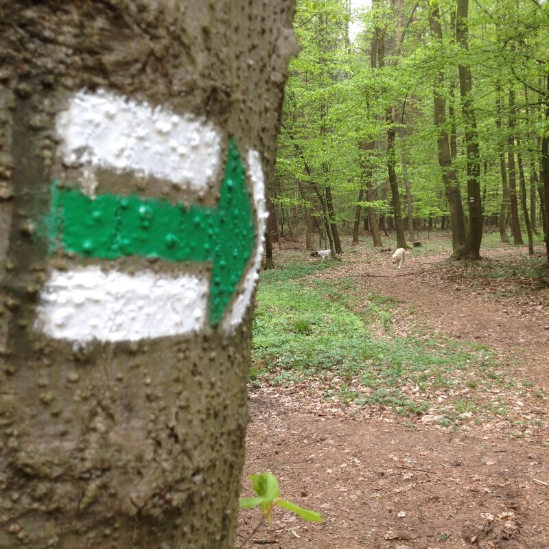 Kraj přispěje turistům, na značení tras dá 600 tisíc korun.