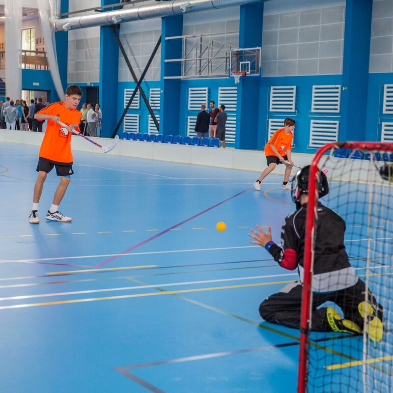 Hejtmanství dá peníze na modernizaci dalších pěti sportovišť.
